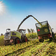 Harvesting In Field Poster