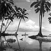 Hawaii Tropical Scene Poster