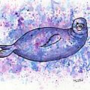 Hawaiian Monk Seal Poster