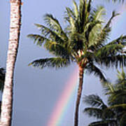 Hawaiian Rainbow Poster