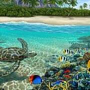 Hawaiian Sea Turtle Poster