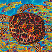 Hawksbill Sea  Turtle And  Snappers Poster
