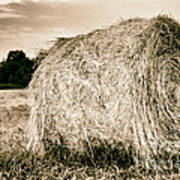 Hay Bale Poster