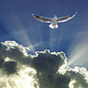 Heavenly Angel Rays - Cloudscape Poster