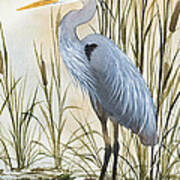 Heron And Cattails Poster