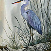 Herons Sheltered Retreat Poster