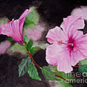Hibiscus - So Pretty In Pink Poster
