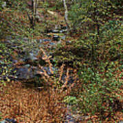 Hidden Creek In Silverado Canyon Poster
