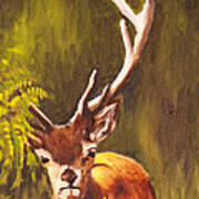 Hidden Deer Poster