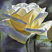 White And Gold Watercolor Rose Poster