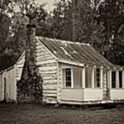 Hobcaw Cabin In Sepia Poster