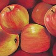 Honeycrisp Apples Poster