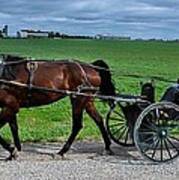 Horse And Buggy On The Farm Poster