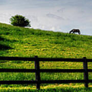 Horse On Hill Poster