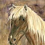 Horse Portrait Study Poster