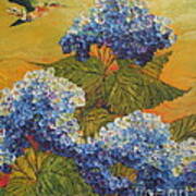 Hummingbird And Blue Hydrangea Poster