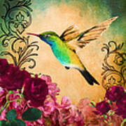 Hummingbird I Poster