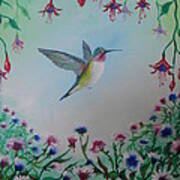 Hummingbird In Flower Garden Poster