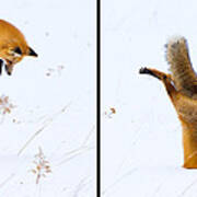 Hunting Fox Diptych Poster