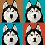 Husky Pop Art Poster