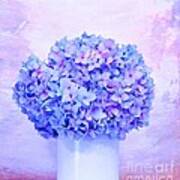 Hydrangea Lavender Poster