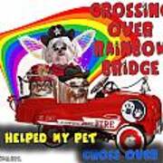 I Helped My Pet Cross Rainbow Bridge Poster