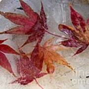 Iced Over Autumn Leaves Poster
