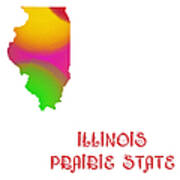 Illinois State Map Collection 2 Poster