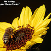 Honey Bee Sweetness Poster