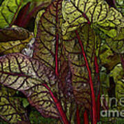 In The Garden - Red Chard Jungle Poster