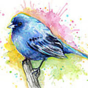 Indigo Bunting Blue Bird Watercolor Poster