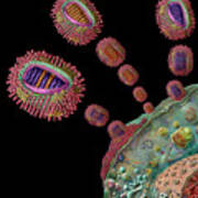 Influenza Virus Gene Exchange Poster