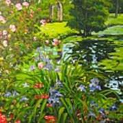 Irises On The Pond Poster