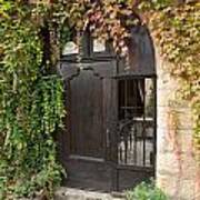 Ivy Covered Doorway Poster