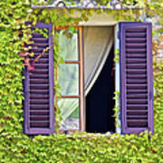 Ivy Covered Window Of Tuscany Poster