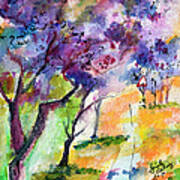 Jacaranda Trees Watercolor And Ink By Ginette Poster