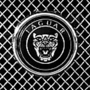Jaguar Grille Emblem -0317bw Poster