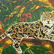 Jaguars In A Jaguar Poster