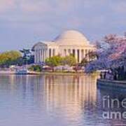 Jefferson Memorial Across The Basin With Blossoms Poster