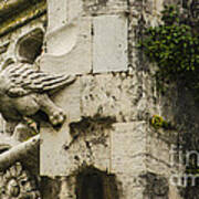 Jeronimos Monastery Gargoyle 1 Poster