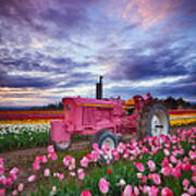 John Deere Pink Poster