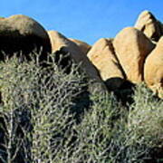 Jumbo Rocks At Joshua Tree 1 Poster
