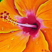 Just Peachy - Hibiscus Flower Poster