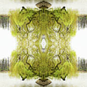 Kaleidoscope Tree On Pond Poster