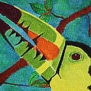 Keel-billed Toucan Poster