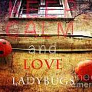 Keep Calm And Love Ladybugs Poster