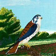 Kestrel And Flowers Poster