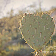 Kinda Heart Cactus Poster