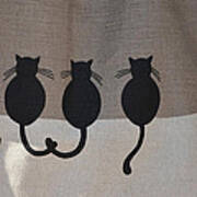 Kitten In A Row Poster