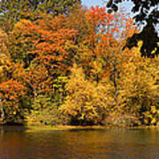 Lake In Central Park In Fall Poster